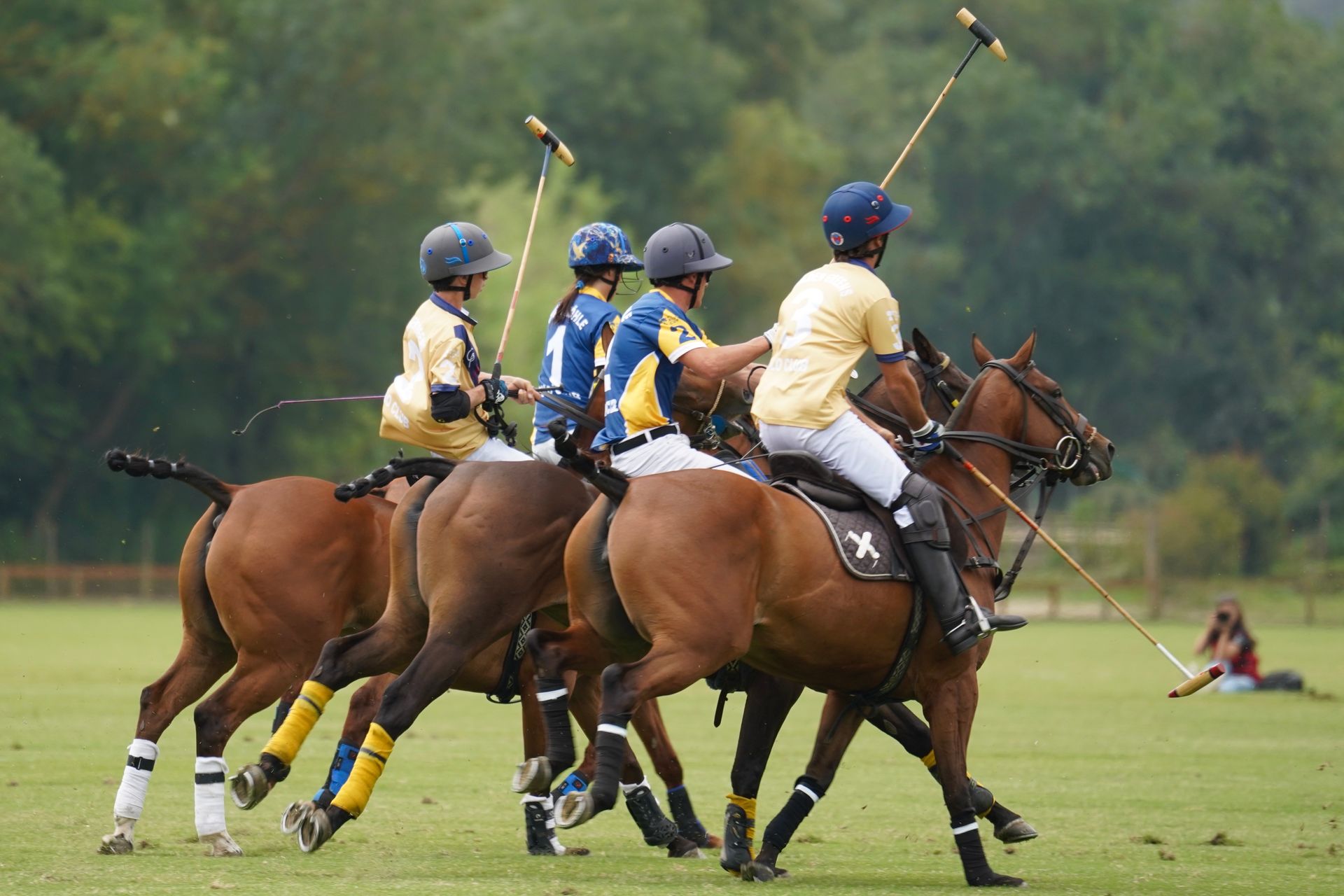 Polo players in action at an Albatross Club event