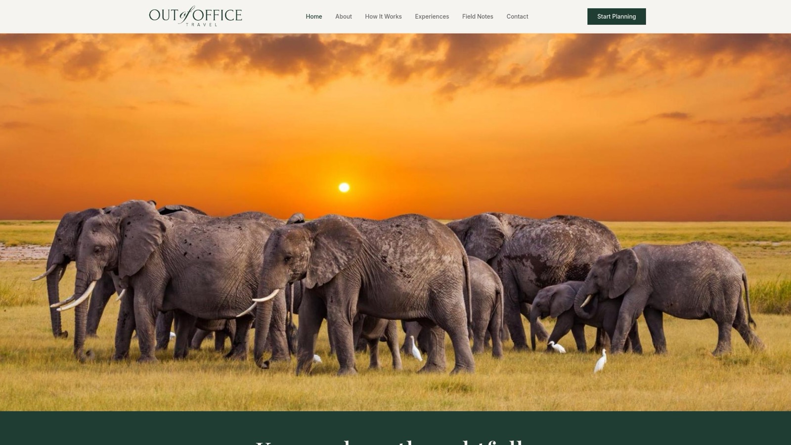 Luxury travel experiences (Out Of Office)